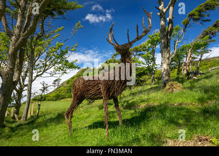 Willow sculpture of a red deer stag, near Calgary Bay, Isle of Mull, Scotland, UK Stock Photo