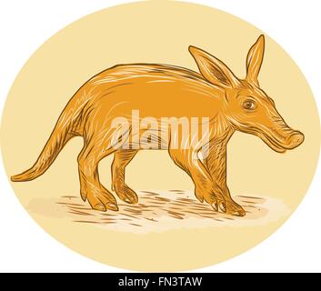 Drawing sketch style illustration of an aardvark or African ant bear or Cape anteater, a medium-sized, burrowing nocturnal mammal native to Africa viewed from side set inside circle viewed from the side. Stock Vector