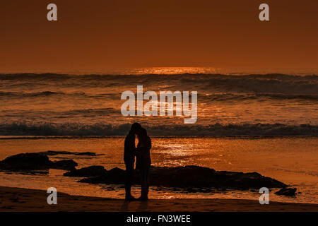 Booby’s Bay, Constantine, UK. 13th, March, 2016. UK Weather: Young Love Birds on the Beach in the glourious Evening Sunshine in Cornwall. Glourious weather on the Cornish Coast, Rich Golden Evening. Credit:  Barry Bateman / Alamy Live News Stock Photo