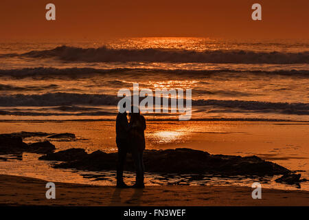 Booby’s Bay, Constantine, UK. 13th, March, 2016. UK Weather: Young Love Birds on the Beach in the glourious Evening Sunshine in Cornwall. Glourious weather on the Cornish Coast, Rich Golden Evening. Credit:  Barry Bateman / Alamy Live News Stock Photo