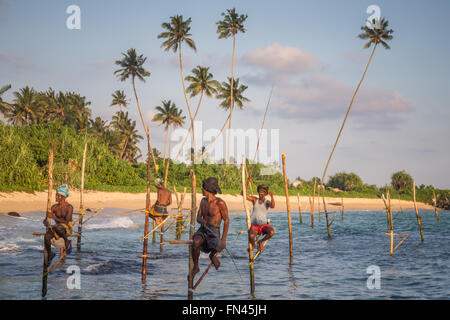 Sri Lankan stilt fishing, Sri Lankan stilt fishermen at sunset, Koggala Beach, Sri Lanka, Asia Stock Photo
