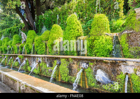 The Hundred Fountains (Le Cento Fontane) in the formal gardens, Villa d'Este, a villa in Tivoli, near Rome, Italy Stock Photo
