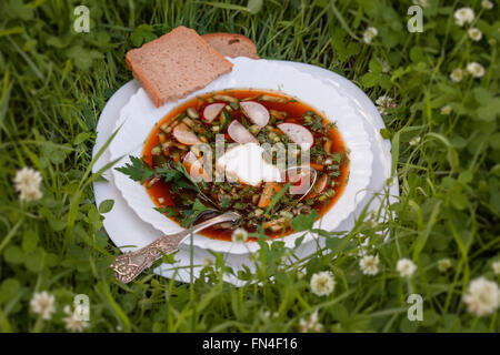 Cold Russian okroshka soup with kvass and pieces of bread on natural blurred grass background Stock Photo