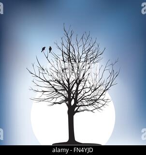 two birds on a tree in night Stock Vector