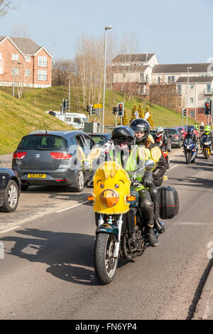 Stoke On Trent, Staffordshire, UK. 13th March, 2016. Thousands of bikers travel through the streets of Stoke On Trent collecting  Easter eggs. Now in its 38th year the star bikers annual Easter egg run is a 14-mile route around the city of Stoke on Trent, and hundreds of supporters lined the streets of the to donate Easter eggs before the bikers finished at the King's Hall, in Stoke. Credit:  James Clarke/Alamy Live News Stock Photo