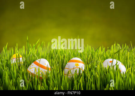 Decorated easter eggs in grass with space for text Stock Photo