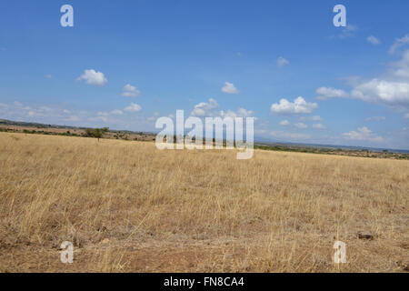 AFRICA: Kenya: The Ngong Hills from the shimmering heat of Nairobi National Park Stock Photo