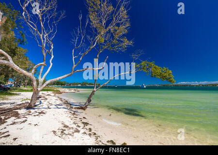 BRIBIE ISLAND, AUS - FEB 14 2016: Beach with trees on the west side of Bribie Island, Queensland, Australia Stock Photo