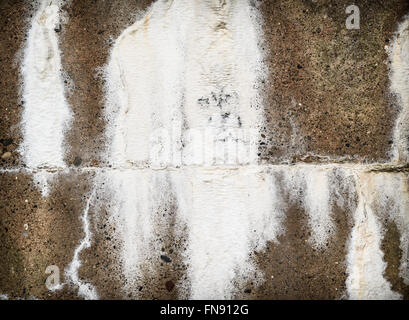 Concrete wall with efflorescence salt seepage. Stock Photo