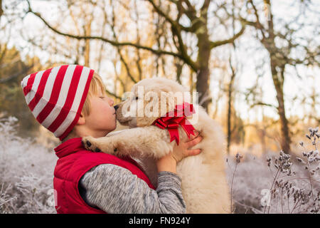 Boy kissing golden retriever puppy dog Stock Photo