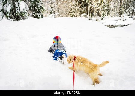 Boy playing with Golden retriever puppy dog in the snow Stock Photo