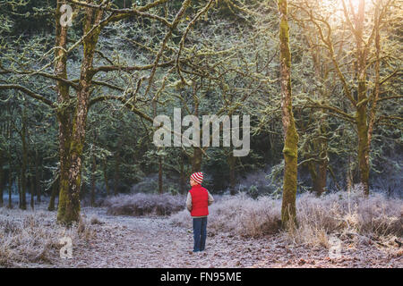 Rear view of boy standing in forest Stock Photo
