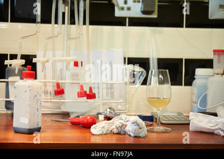 Wine laboratory at winery Stock Photo - Alamy