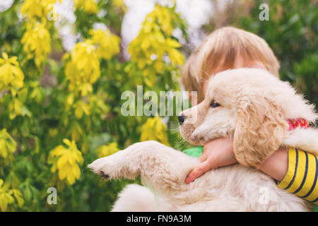 Boy hugging his golden retriever puppy dog Stock Photo
