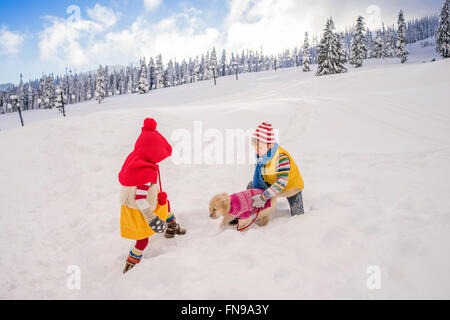 Boy and girl playing with golden retriever puppy dog in snow Stock Photo