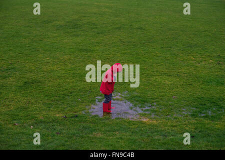 Elevated view of boy standing in a puddle Stock Photo