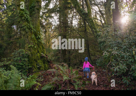 Girl walking in forest with golden retriever puppy dog Stock Photo