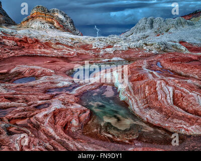 White Pocket with rain water pools. Vermilion Cliffs National Monument, Arizona