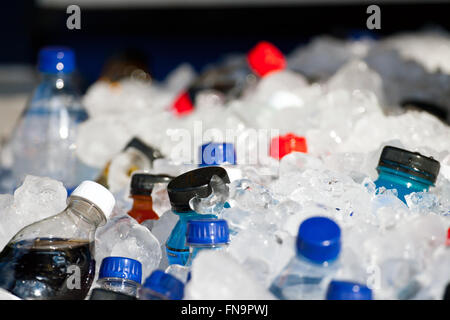 https://l450v.alamy.com/450v/fn9pwj/bottles-and-ice-fn9pwj.jpg