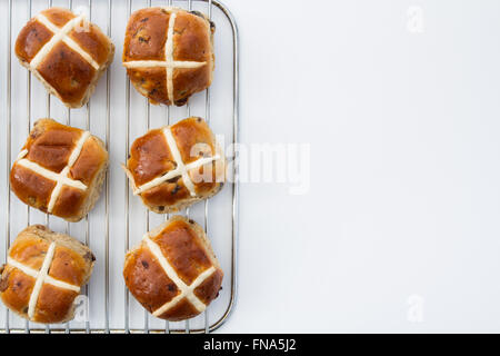 Freshly baked Easter, hot cross buns on an isolated white background. Stock Photo