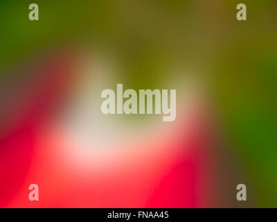 The variocolored blurred background and texture. Stock Photo
