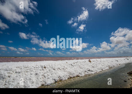 Impression of the famous Salt Factory of Cargill at Bonaire Island Stock Photo