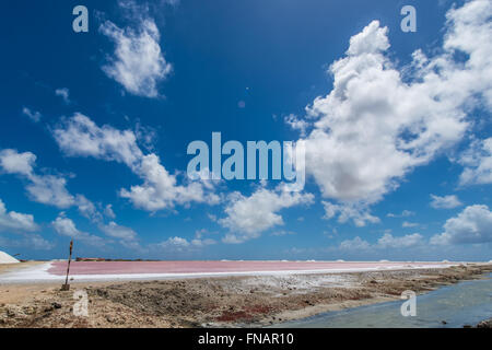 Impression of the famous Salt Factory of Cargill at Bonaire Island Stock Photo