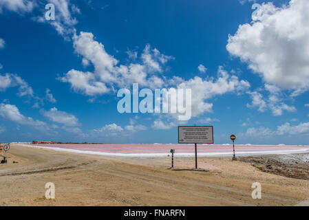 Impression of the famous Salt Factory of Cargill at Bonaire Island Stock Photo