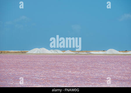 Impression of the famous Salt Factory of Cargill at Bonaire Island Stock Photo