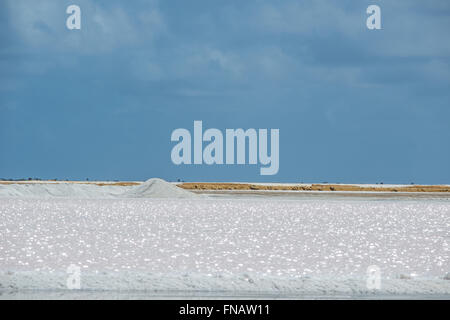 Impression of the famous Salt Factory of Cargill at Bonaire Island Stock Photo