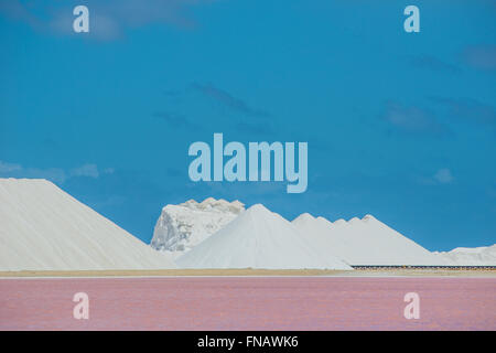 Impression of the famous Salt Factory of Cargill at Bonaire Island Stock Photo