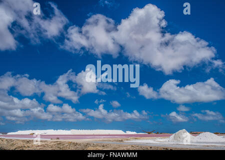 Impression of the famous Salt Factory of Cargill at Bonaire Island Stock Photo