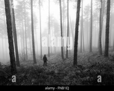Man standing in a foggy forest, Navarre, Spain Stock Photo