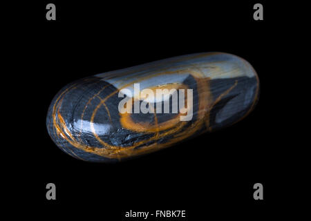 Pebble photographed in the studio on black background. Stock Photo