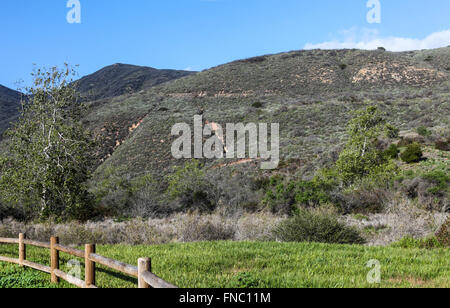 Hiker seen in distance walks down the ocean view trail at Zuma Canyon Stock Photo