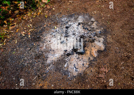 Campfire remains of ash and burned wood in the forest. Stock Photo