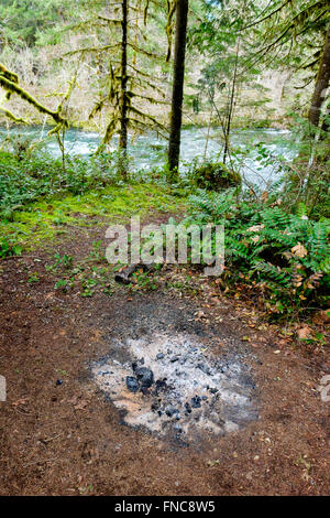 Campfire remains of ash and burned wood in the forest. Stock Photo