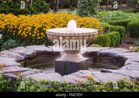 Water splashes into a fountain pool located in a garden with bright yellow rudbeckia and box hedge in the background. Stock Photo
