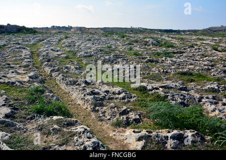 Cart ruts in Malta. Stock Photo