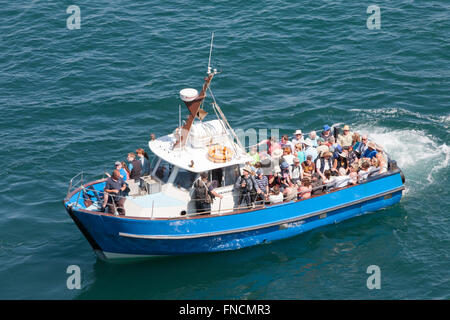 Visitors,passengers,tourists,bird spotters heading on a boat to see puffins on Skomer Island. Stock Photo