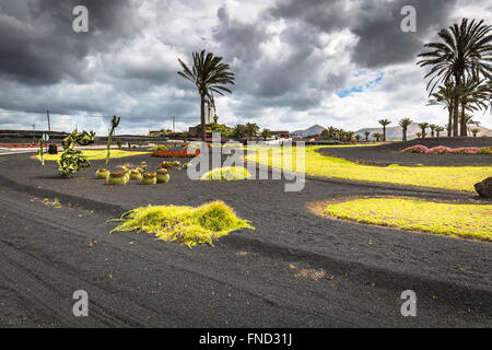 Flowers and palm trees on roundabout near Yaiza village, Lanzarote island, Spain Stock Photo