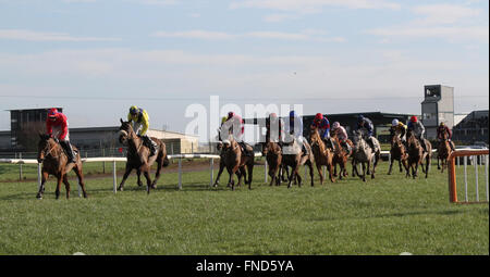 Horse racing at Down Royal, Lisburn Northern Ireland. Stock Photo