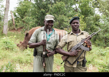 Two armed rangers who protect the introduced White/Wide-lipped Rhinos in Mosi oa Tunya National Park Livingstone southern Zambia Stock Photo