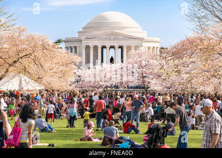 Washington DC Cherry blossoms Jefferson Memorial. Crowds on Sunday Cherry Blossom Festival. Stock Photo