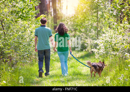 Young couple holding hands and walking with their dog in the forest Stock Photo