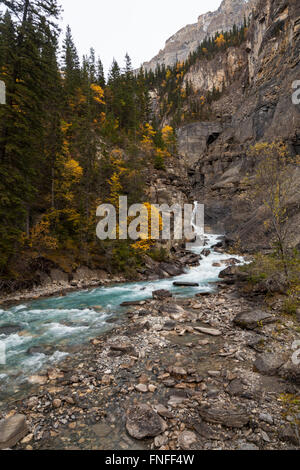 Trail to Berg lake in the Autumn, Mount Robson, British Columbia Stock Photo