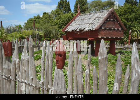Te Parapara Maori Garden. New Zealand Stock Photo