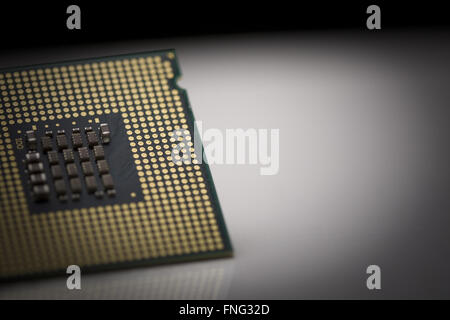Macro shot of microprocessor with shallow depth of field on grey gradient Stock Photo