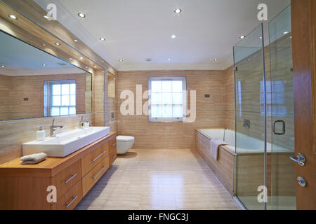 Interior View Of Beautiful Luxury Bathroom Stock Photo