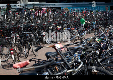 Bike racks near the station of Haarlem Holland Stock Photo